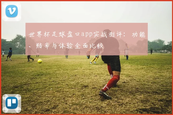 世界杯足球盘口app实战测评：功能、赔率与体验全面比较