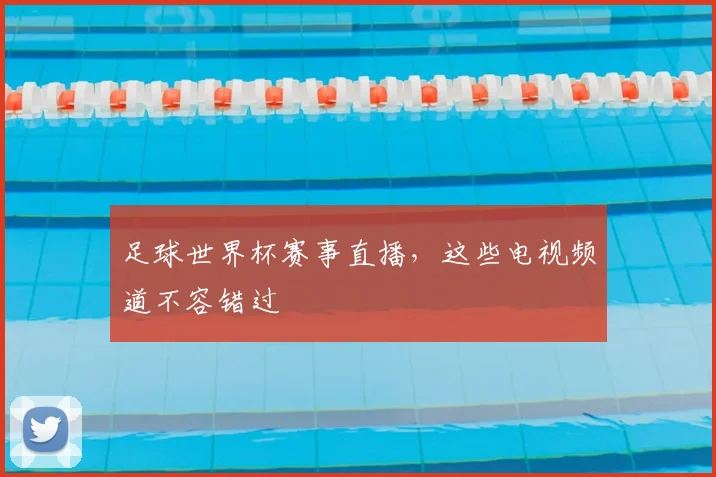 足球世界杯赛事直播,这些电视频道不容错过