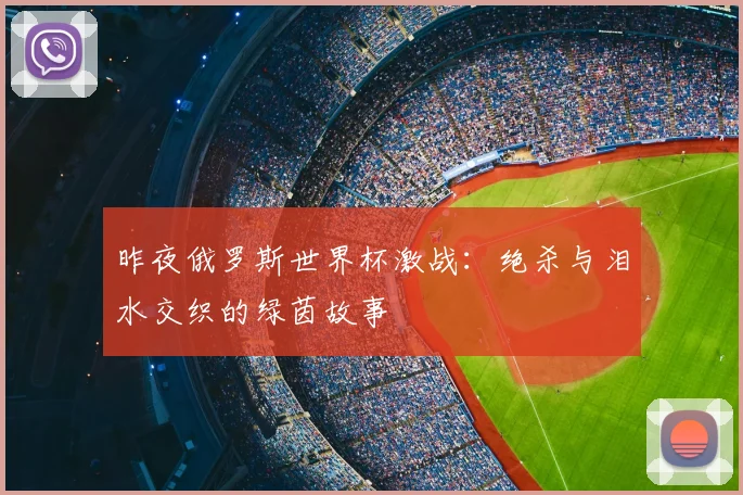 昨夜俄罗斯世界杯激战：绝杀与泪水交织的绿茵故事