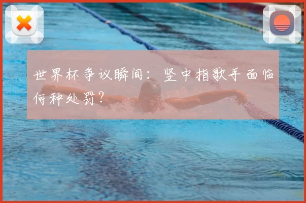 世界杯争议瞬间：竖中指歌手面临何种处罚？
