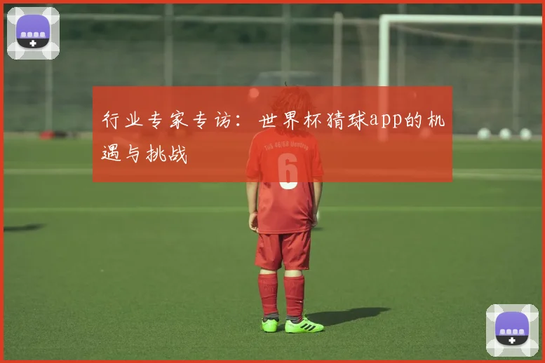 行业专家专访:世界杯猜球app的机遇与挑战