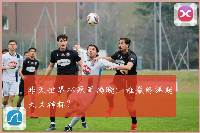 昨天世界杯冠军揭晓:谁最终捧起大力神杯?