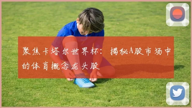 聚焦卡塔尔世界杯：揭秘A股市场中的体育概念龙头股