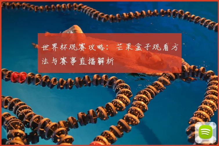 世界杯观赛攻略：芒果盒子观看方法与赛事直播解析
